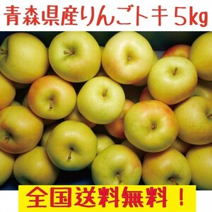 青森県産　りんご　トキ　ご家庭用　5㎏　全国送料無料