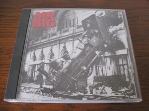 洋楽CD MR.BIG LEAN INTO IT