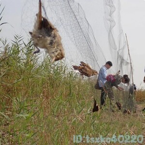 Mk2358: 鳥よけ ネット 動物 網 アウトドア 防鳥 畑 野菜 果物 庭 ガード 保護 カラス ハト スズメ 害虫駆除 鳥 トリ 3ｍ×8ｍ 鳩 雀 烏