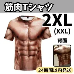 筋肉 Tシャツ マッチョ 筋トレ ウェア コスプレ ジョーク グッズ 3D 3L