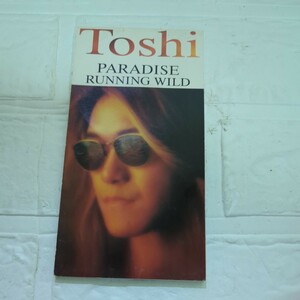 PARADISE/Toshi　ミニシングル