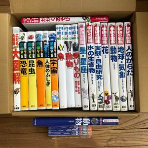 大SET-ш496/ 図鑑セット 不揃い24冊まとめ ニューワイド学研の図鑑 小学館の図鑑NEO 講談社の動く図鑑move もって歩けるPOCKETワンダ 他