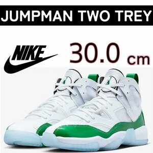 NIKE JORDAN JUMPMAN TWO TREY ナイキ ジョーダン ジャンプマン ツー トレイ DO1925-130 箱有り 30.0