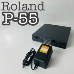 Roland P-55 PIANO Module MADE in JAPAN