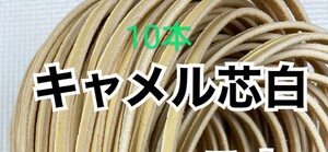 ★限定カラーグラブレース10本☆キャメル×芯ホワイト