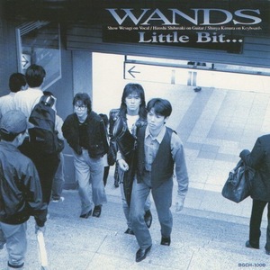 WANDS ワンズ / Little Bit… リトル・ビット… / 1994.04.01 / 3rdアルバム / 1993年作品 / BGCH-1008