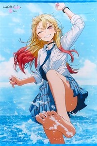 その着せ替え人形は恋をする/ソフマップ・アニメガ Blu-ray/DVD 全巻購入特典 B2サイズ タペストリー