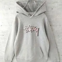 stussy LAGUNABEACH パーカー　希少　レア　入手困難