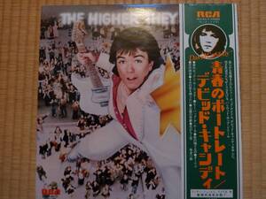 青春のポートレート デッビッド・キャシディ DAVID　CASSIDY パートリッジ・ファミリー LP 1975年 ビーチボーイズ 送料全国一律６６０円