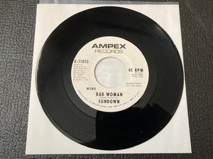 【貴重】サンダウン Sundown - Bad Woman(1970 Ampex Promo)USスワンプ　オールマンのチャック・リーヴェル在籍