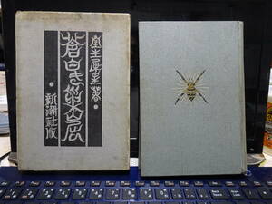 室生犀星（むろう・さいせい）／『蒼白き巣窟』／新潮社版／初版・函