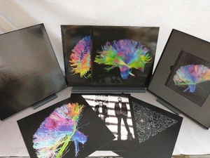 輸入盤 MUSE「The 2nd Law : Deluxe Box Set (CD+DVD+2LP+アートプリント3枚)」 ミューズ/ザ・セカンド・ロウ/デラックス ボックス セット