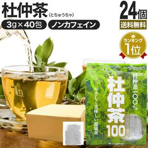 杜仲茶 とちゅう茶 茶葉 ティーパック ティーバッグ ダイエット ダイエット食品 3g*40包*24個セット 送料無料 宅配便