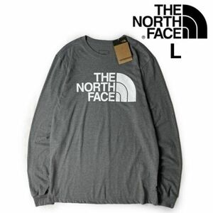 売切り【正規新品】THE NORTH FACE◆L/S HALF DOME TEE 長袖 Tシャツ ロンT US限定 ハーフドームロゴ 男女兼用(L)グレー 180902-18