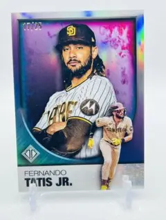 高級 2023 Topps Transcendent 25シリ タティス