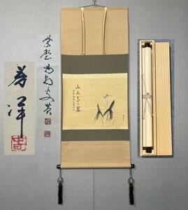 【模写】Y-782掛軸 紙本 横物 共箱 茶掛 茶道 茶道具 華道 花道具 細合喝堂 臨済宗大徳寺塔頭龍源院『水上青青翠 沢潟蜻蛉画賛』