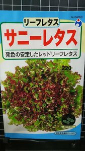 ３袋セット サニーレタス レッド リーフ レタス 種 郵便は送料無料