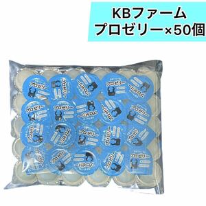 ×50個　 KBファーム プロゼリー 昆虫ゼリー クワガタ　カブト