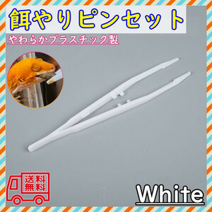 爬虫類 餌やり ピンセット 1本 白 両生類 レオパ 衛生 飼育 軽量 18cm