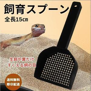 爬虫類 糞取りスプーン餌やり1本 両生類 飼育 軽量 15cm レオパ