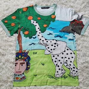 極美品 DOLCE&GABBANA ドルチェ&ガッバーナ Tシャツ カットソー クールネック 総柄 象 アート シチリア 希少デザイン マルチカラー メンズ