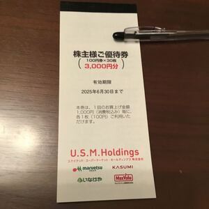 U.S.M.Holdings 株式会社 株主優待券 3,000円分