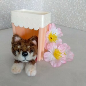 羊毛フェルト 　四国犬　犬　 日本犬　ミックス犬　雑種犬　ハンドメイド　ぬいぐるみ　★送料無料★　★匿名配送★20