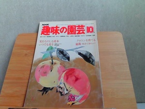 NHK趣味の園芸　昭和54年10月号　ヤケシミ有 1979年10月1日 発行