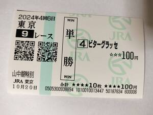 ビターグラッセ 2024 山中湖特別 現地 単勝馬券 東京競馬場 JRA