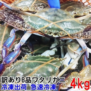 発泡梱包 訳あり冷凍ワタリガニ ４ｋｇ 訳アリ 渡り蟹 ガザミ 蟹出汁ラーメン屋さんも使ってる 梭子蟹 冷凍カニ 冷凍蟹