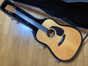 Eastman E10/D アディロンダックトップ オール単板 ラッカー塗装 純正H.C付