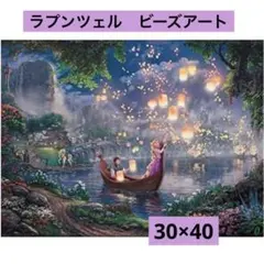 ラプンツェル　5D ビーズアート30×40cm ディズニー　プリンセスビーズ✨