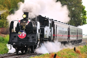 鉄道 デジ 写真 画像 真岡鐵道 SLもおか ありがとう平成HM 日章旗付 3