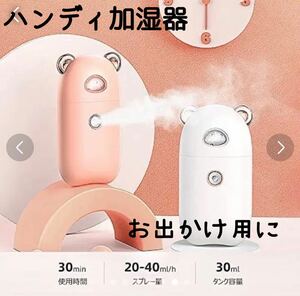 ハンディミスト 美顔器 ミスト ナノミスト USB充電 小型 軽量 持ち運び可能