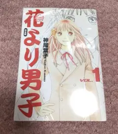 花より男子 完全版 VOL.1 新品