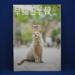 早稲田学報★2018年6月 NO.1229★中古