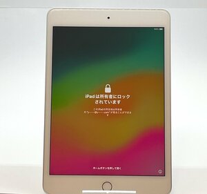 ジャンク iPad mini 第5世代 アクティベーションロック A2133 外装美品 iPad mini5 タブレット本体 送料無料 T49