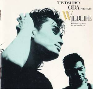 織田哲郎/ワイルドライフ★初期規格★廃盤★プロモサンプラー見本盤★希少CD /TETSURO ODA PRESENTS WILD LIFE #シティポップ #CityPOP