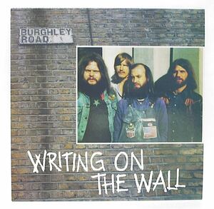 【新品LP】 WRITING ON THE WALL / Burghley Road