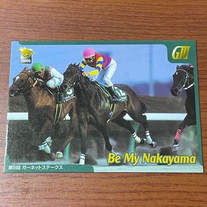 競馬トレカ サラブレッドカード 2001年 ビーマイナカヤマ 032