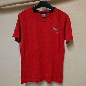 PUMA 半袖Tシャツ L