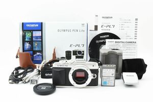 #19★極上美品★ オリンパス OLYMPUS PEN Lite E-PL7 ボディ