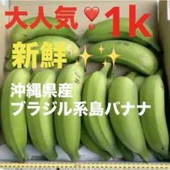 1128①大人気❗️新鮮✨沖縄県産ブラジル系島バナナ✨1キロ分✅