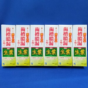 【6本セット】新品★薬用 小林製薬 薬用ハミガキ 生葉 100g 歯磨き粉 歯槽膿漏 歯肉炎