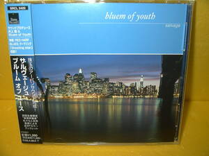 【マキシCD/帯付】ブルーム オブ ユース「サルヴェージュ」井上鑑/bluem of youth