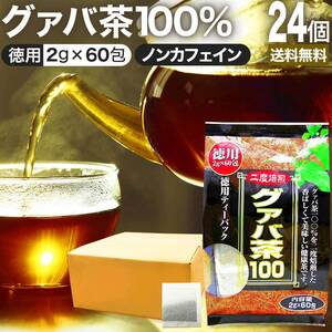 グァバ グァバ茶 グアバ グアバ茶 ガバ茶 ガバちゃ ティーバッグ ダイエット 2g*60包*24個セット 送料無料 宅配便