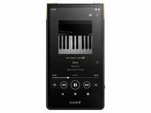 【美品】SONY Walkman NW-ZX707 64GB ポータブルオーディオプレーヤー