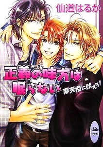 正義の味方は眠らない 摩天楼に吠えろ！ 講談社X文庫ホワイトハート/仙道はるか【著】