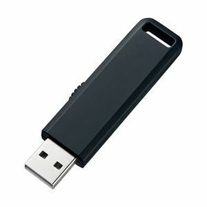 【新品】(まとめ)サンワサプライ USB2.0メモリ UFD-SL2GBKN【×2セット】