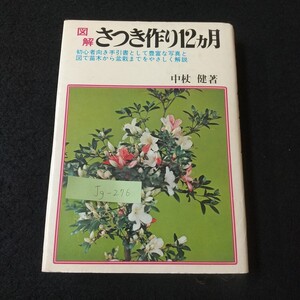 Jg-276/図解さつき作り12ヵ月 初心者向き手引書として豊富な写真と 図で苗木から盆栽までをやさしく解説 中杖健著/L5/61219